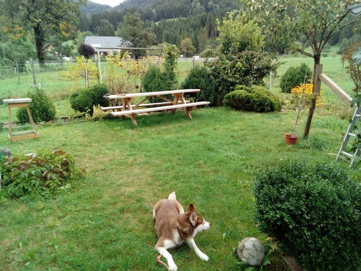 Apartment-Mandl Sankt Georgen am Reith Екстериор снимка